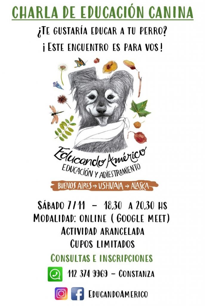 La imagen tiene un atributo ALT vacío; su nombre de archivo es flyer-687x1024.jpg