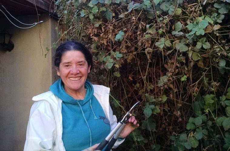 La diputada Roxana Reyes pedirá que intensifiquen la búsqueda de Marcela López